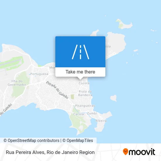 Rua Pereira Alves map