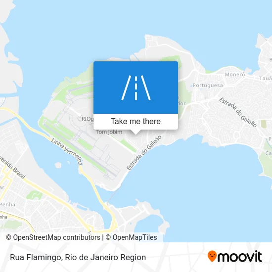 Rua Flamingo map