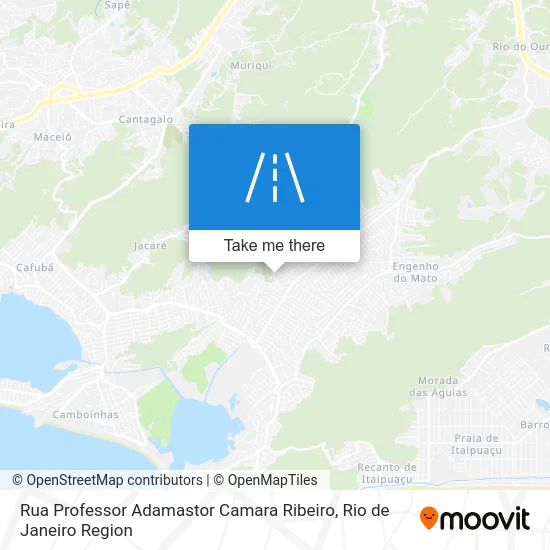 Rua Professor Adamastor Camara Ribeiro map