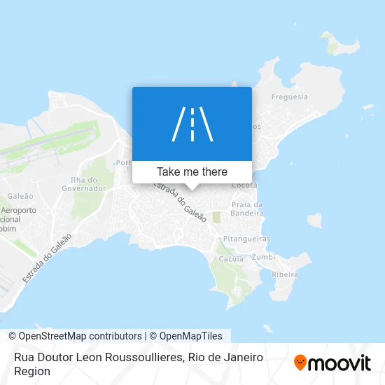 Rua Doutor Leon Roussoullieres map