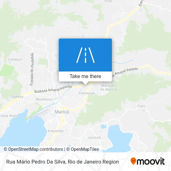 Rua Mário Pedro Da Silva map