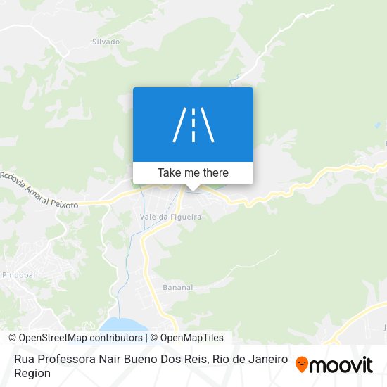 Rua Professora Nair Bueno Dos Reis map