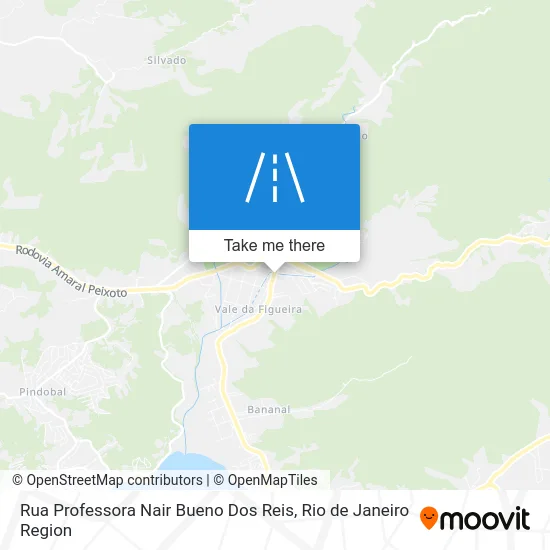 Rua Professora Nair Bueno Dos Reis map