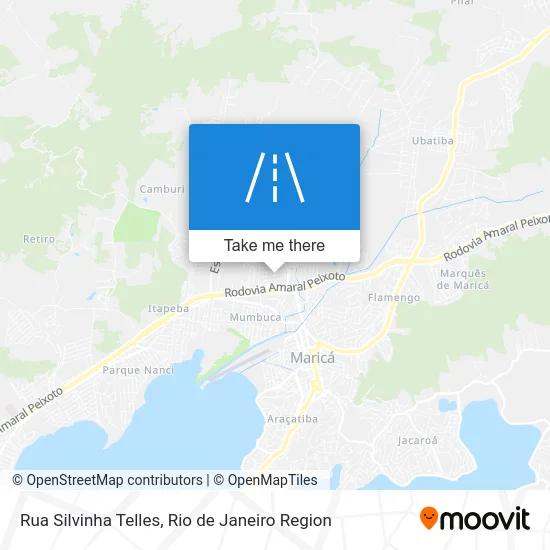 Rua Silvinha Telles map