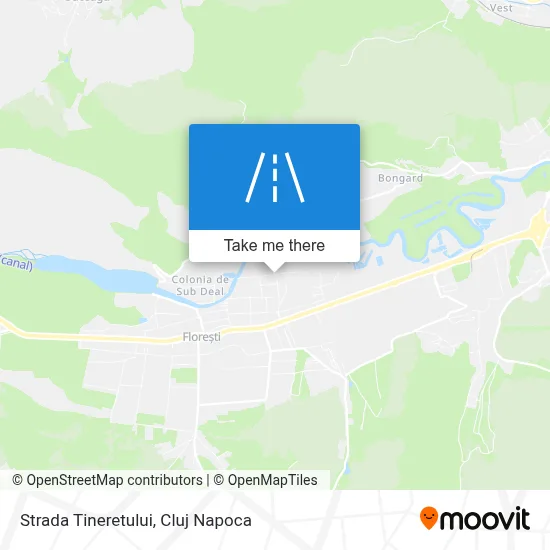 Strada Tineretului map