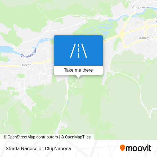 Strada Narciselor map