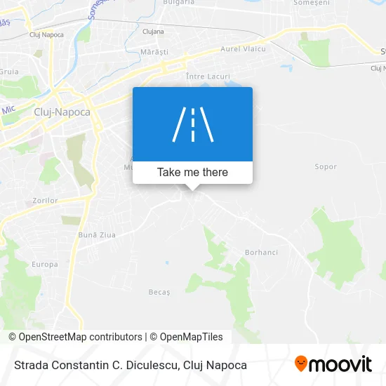 Strada Constantin C. Diculescu map