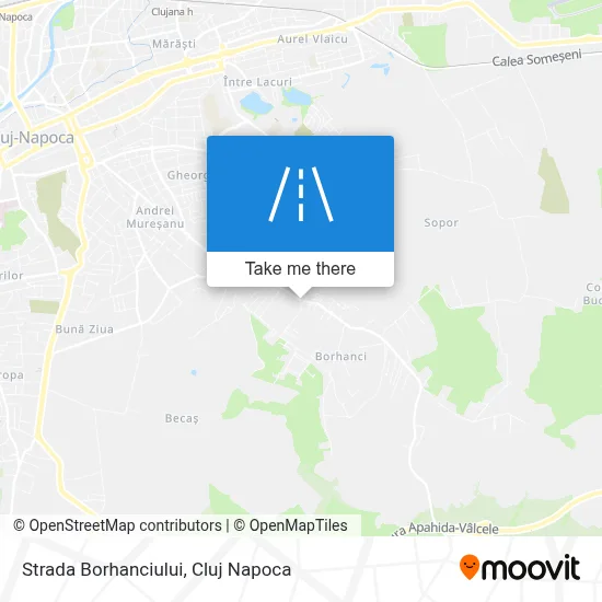 Strada Borhanciului map