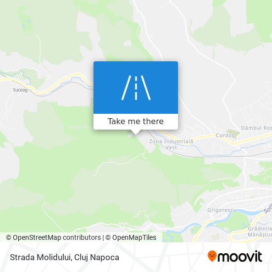 Strada Molidului map