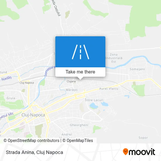 Strada Anina map