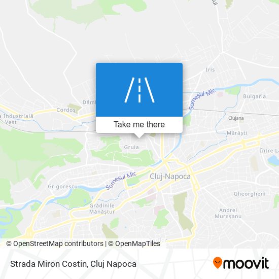 Strada Miron Costin map