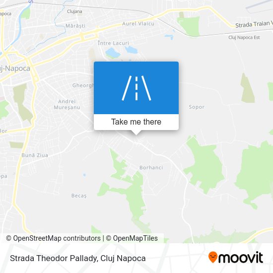 Strada Theodor Pallady map