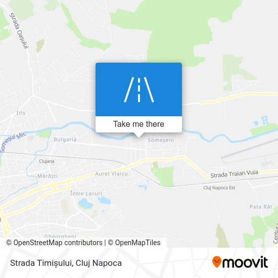 Strada Timișului map