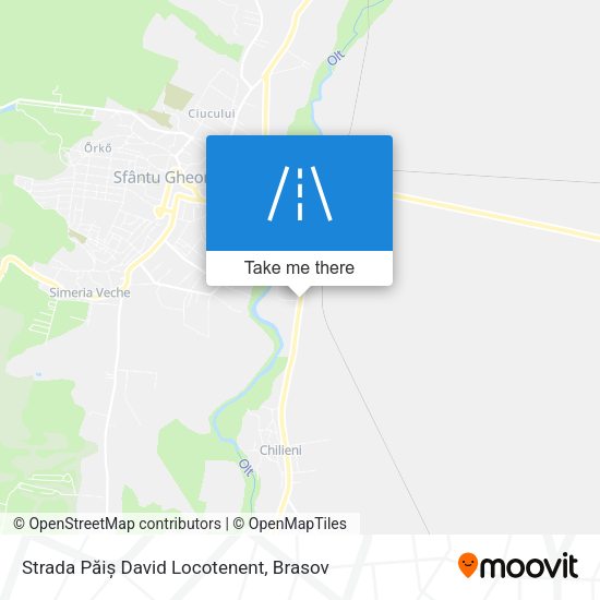 Strada Păiș David Locotenent map