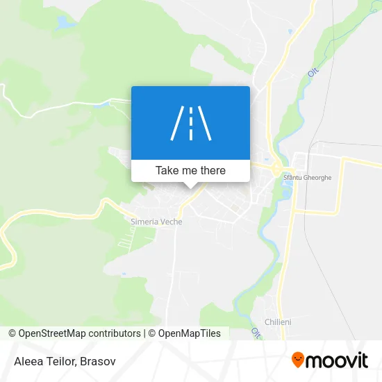 Aleea Teilor map