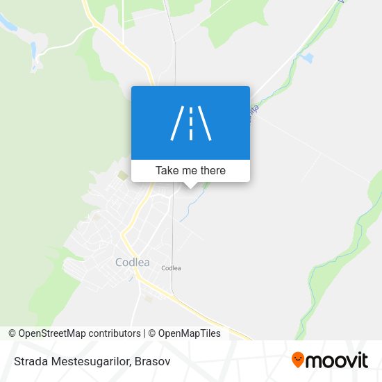 Strada Mestesugarilor map