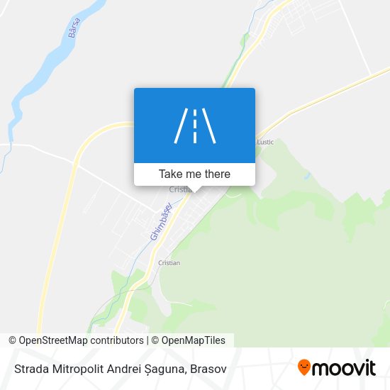 Strada Mitropolit Andrei Șaguna map