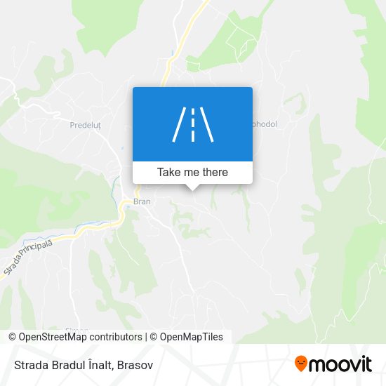 Strada Bradul Înalt map