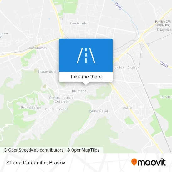 Strada Castanilor map