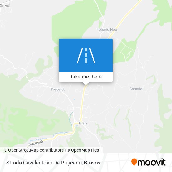 Strada Cavaler Ioan De Pușcariu map