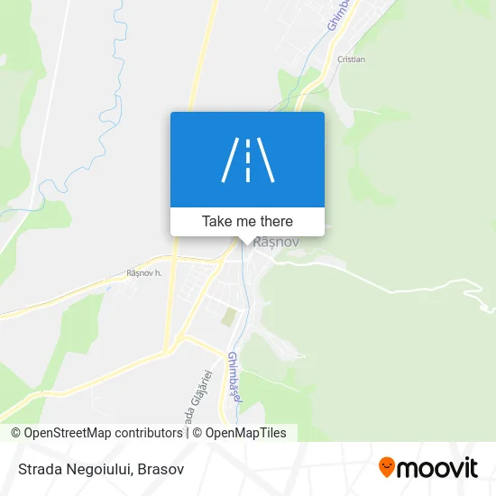 Strada Negoiului map