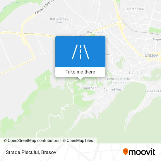 Strada Piscului map
