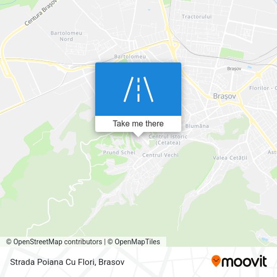 Strada Poiana Cu Flori map