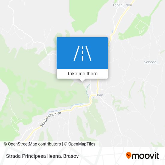 Strada Principesa Ileana map