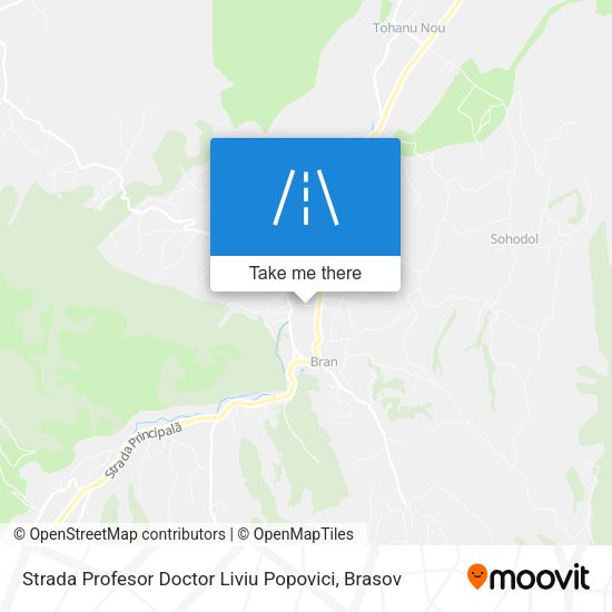 Strada Profesor Doctor Liviu Popovici map
