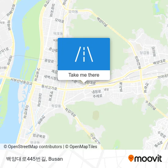 백양대로445번길 map