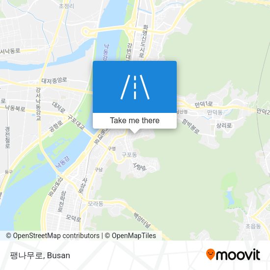 팽나무로 map