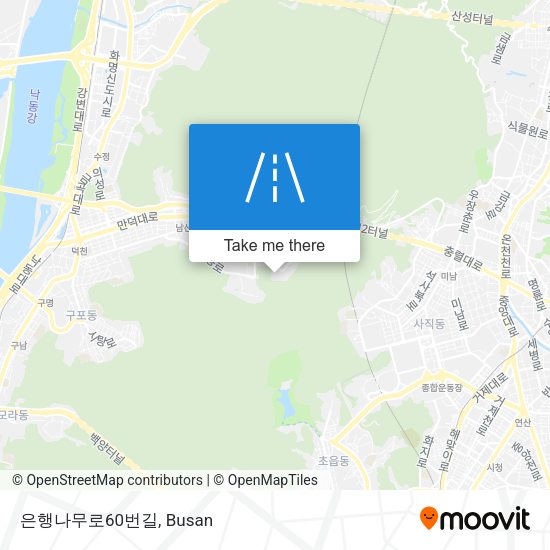 은행나무로60번길 map