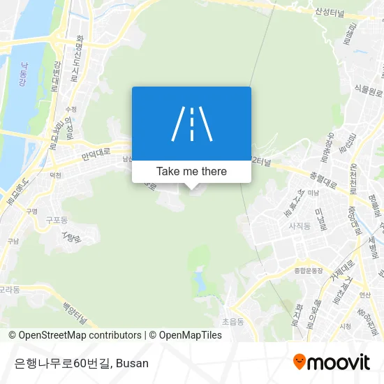 은행나무로60번길 map