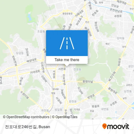 전포대로246번길 map