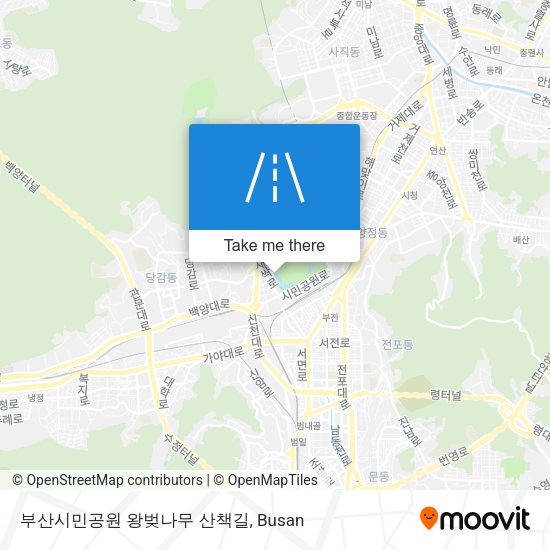 부산시민공원 왕벚나무 산책길 map