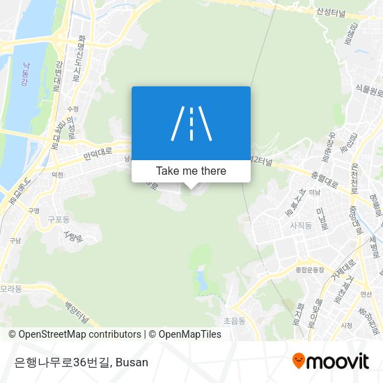 은행나무로36번길 map