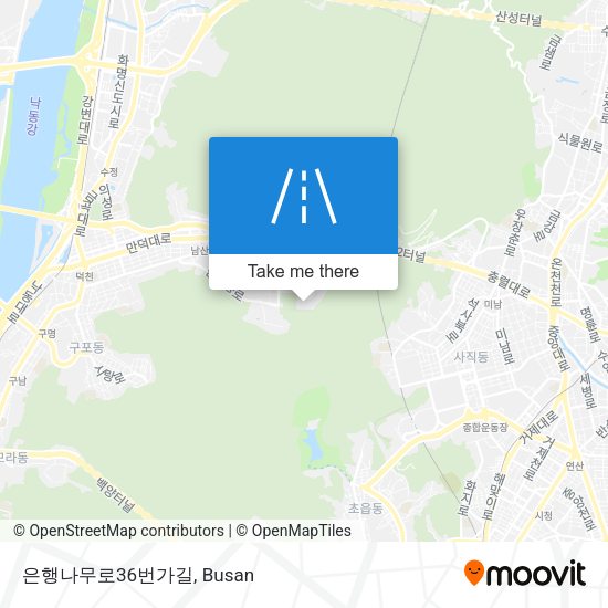 은행나무로36번가길 map