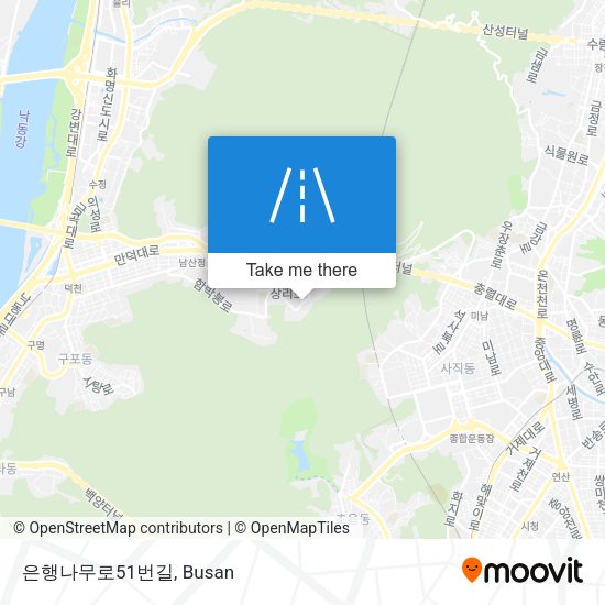 은행나무로51번길 map