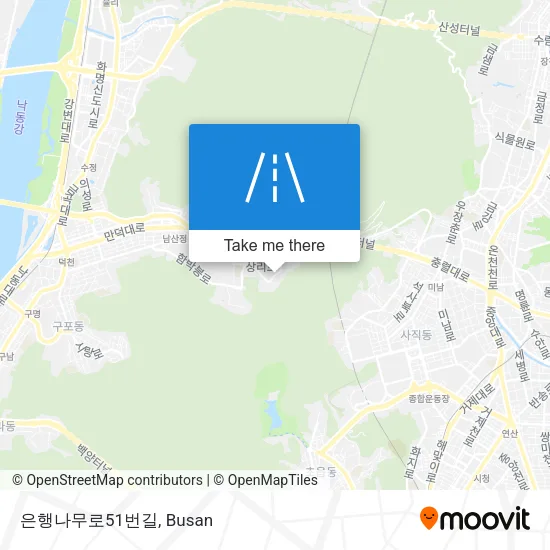 은행나무로51번길 map