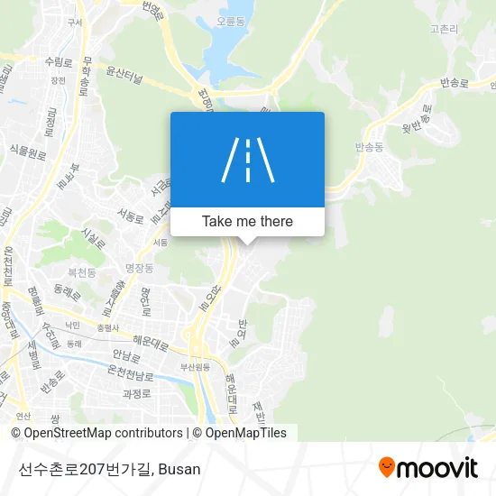 선수촌로207번가길 map
