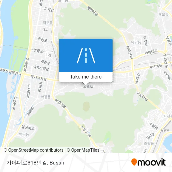 가야대로318번길 map