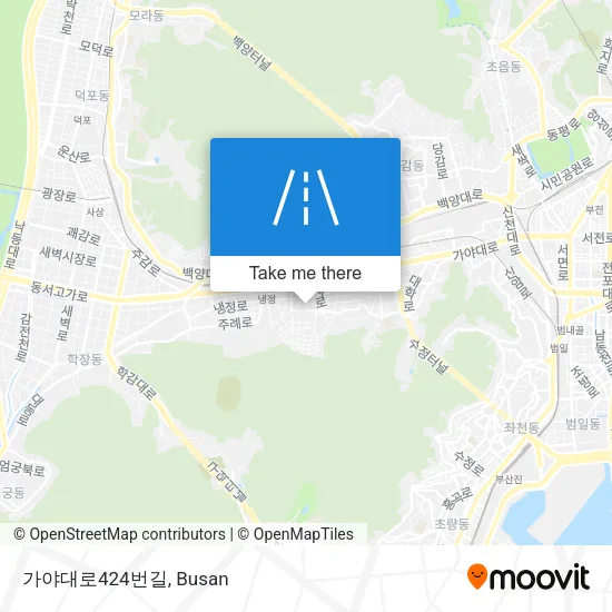 가야대로424번길 map