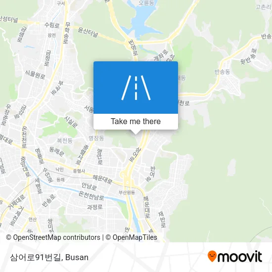 삼어로91번길 map