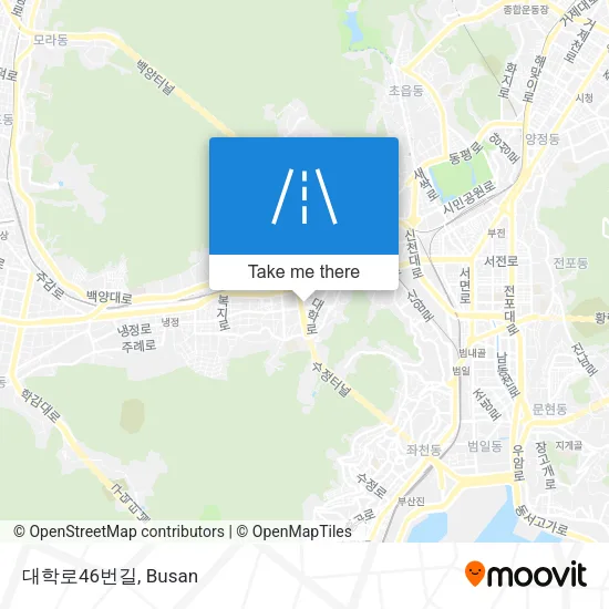 대학로46번길 map
