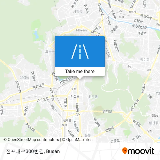 전포대로300번길 map