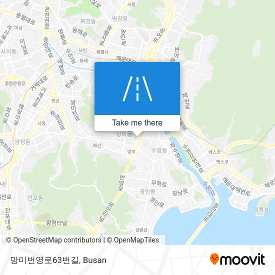 망미번영로63번길 map