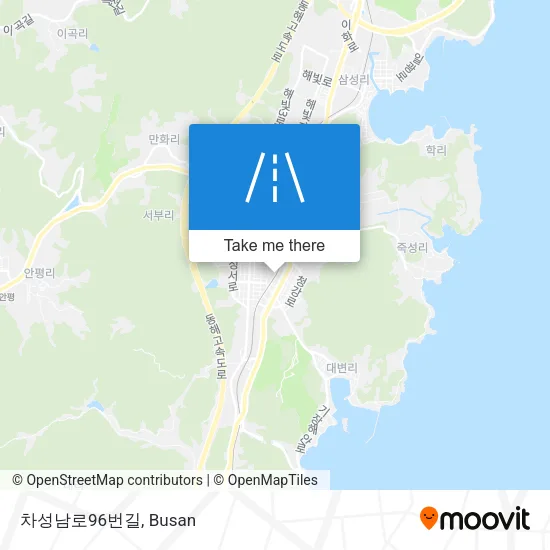 차성남로96번길 map