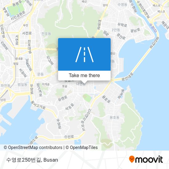 수영로250번길 map