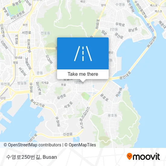 수영로250번길 map