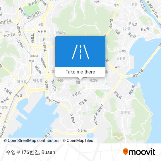 수영로176번길 map